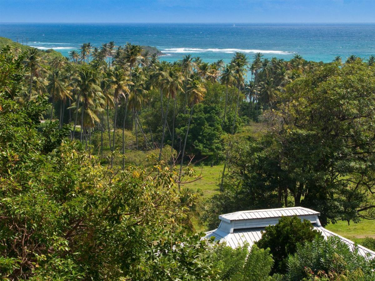 Firefly Estate Bequia Hotel Crescent Beach Exterior foto