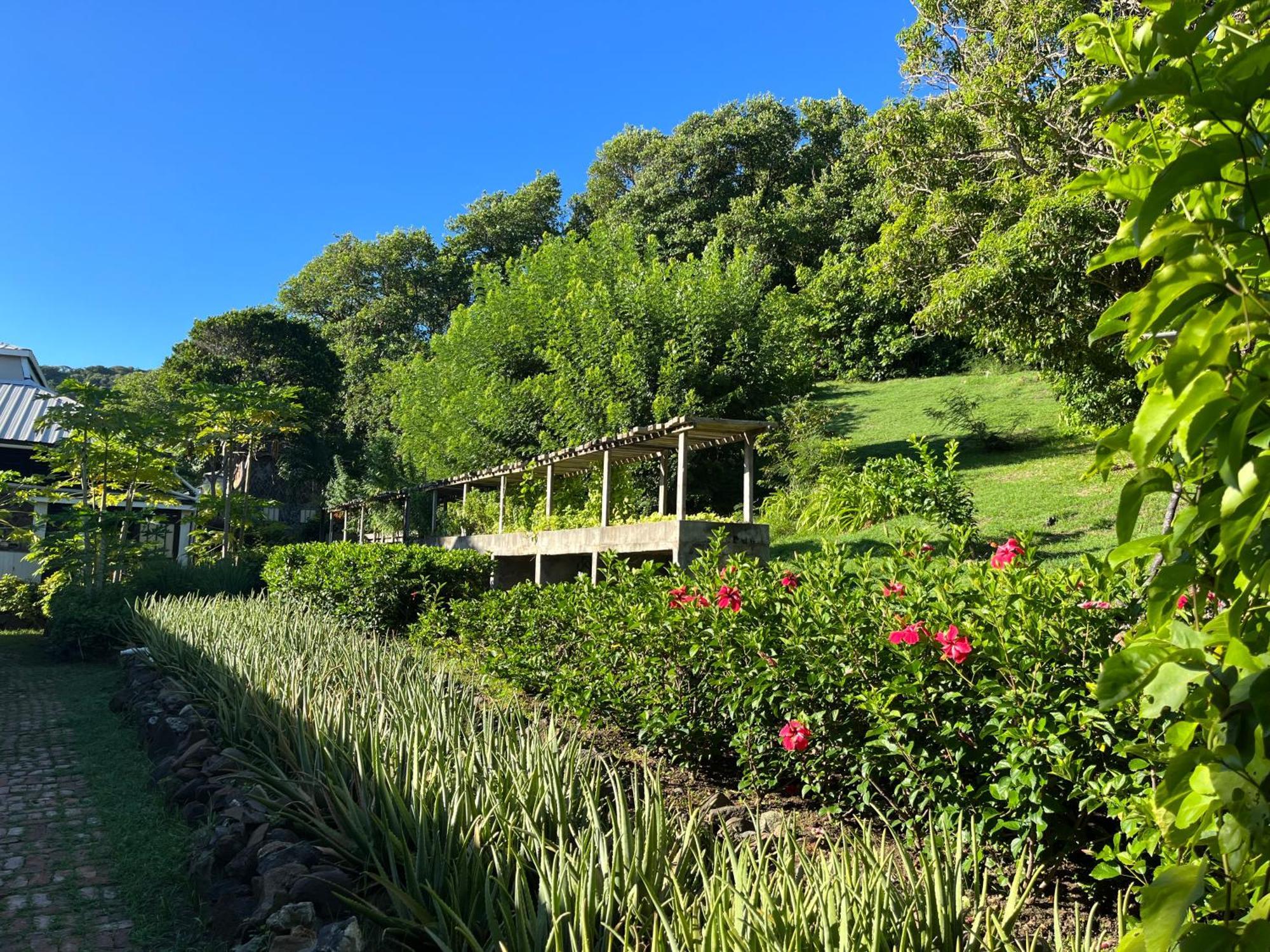 Firefly Estate Bequia Hotel Crescent Beach Exterior foto