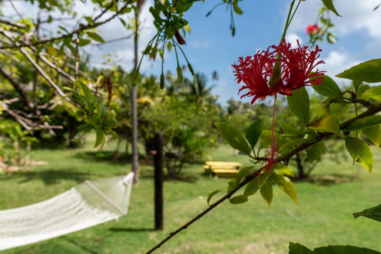 Firefly Estate Bequia Hotel Crescent Beach Exterior foto